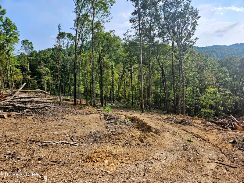 0 Brewer Lane Lot 1, Andersonville, TN 37705