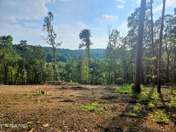 0 Brewer Lane Lot 1, Andersonville, TN 37705