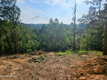 0 Brewer Lane Lot 1, Andersonville, TN 37705