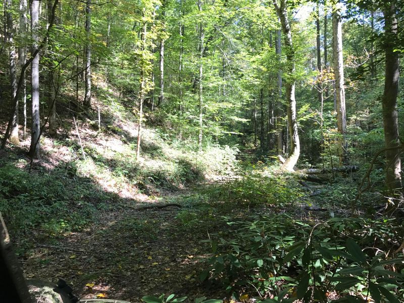 0 Briar Branch Rd, Townsend, TN 37882