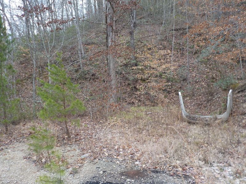 0 Briar Fork Rd, Bean Station, TN 37708