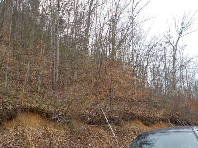 0 Briar Fork Rd, Bean Station, TN 37708