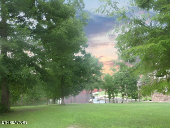 0 Brigadoon Dr Lot 43, Rockwood, TN 37854