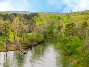 0 Brigadoon Dr Lot 43, Rockwood, TN 37854