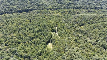 0 Brimstone Creek, Robbins, TN 37852