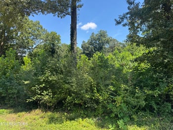 0 Brookhill Dr, Etowah, TN 37331