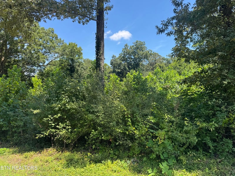 0 Brookhill Dr, Etowah, TN 37331
