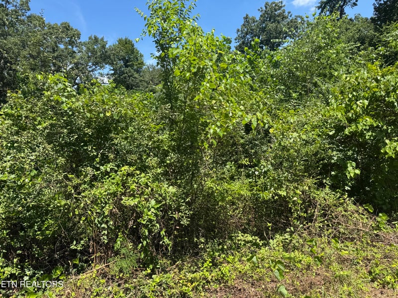 0 Brookhill Dr, Etowah, TN 37331