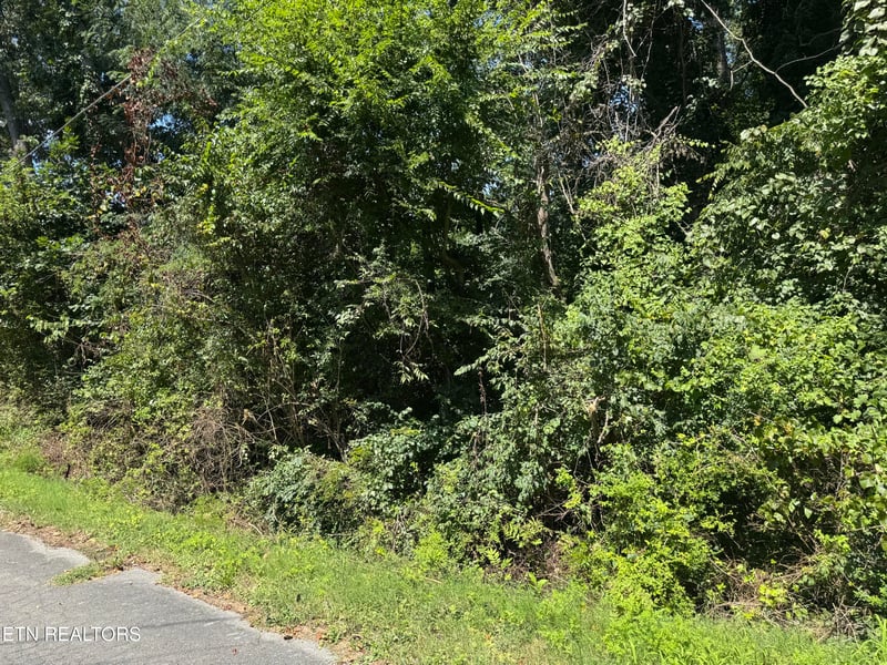 0 Brookhill Dr, Etowah, TN 37331
