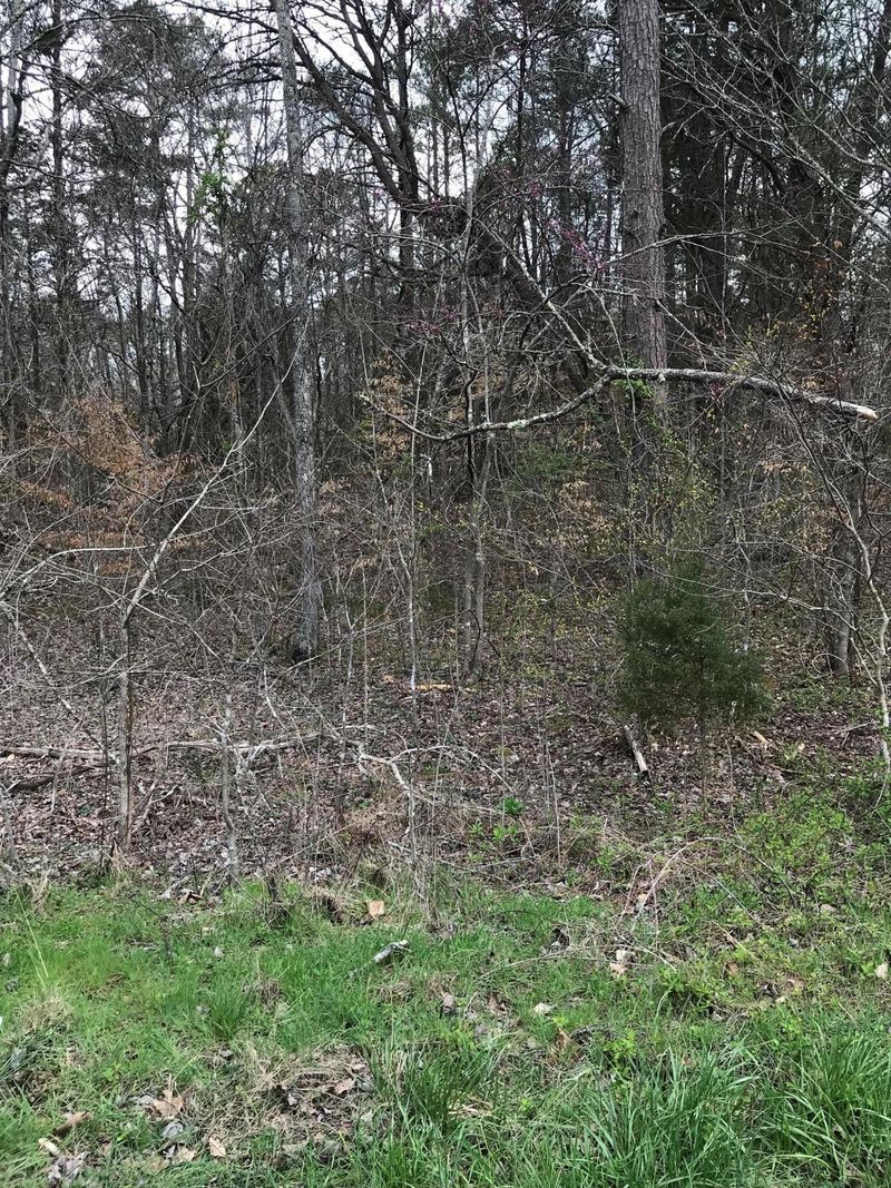 0 Brookview Drive Lot 42, Maynardville, TN 37807