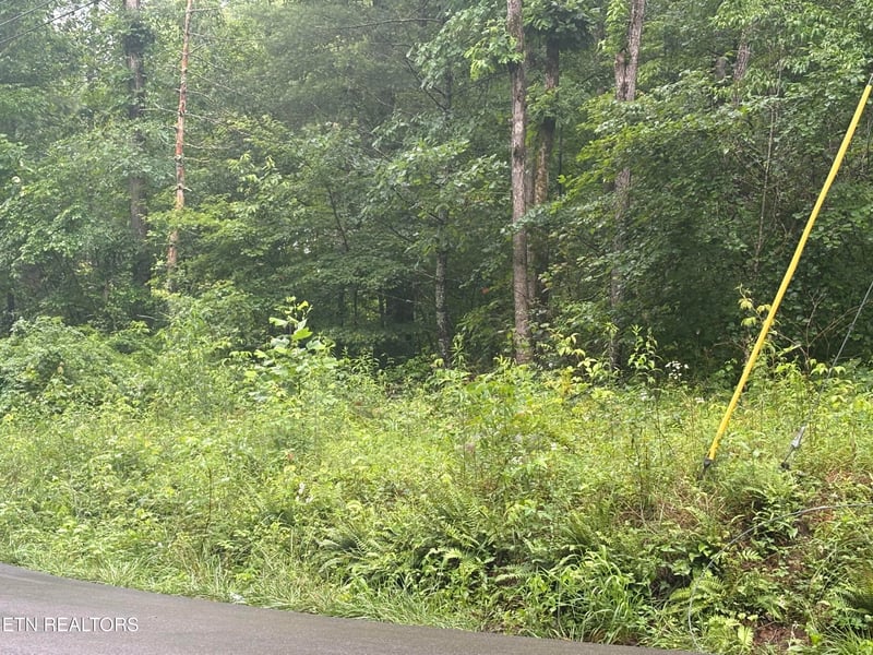 0 Brown Creek Dr, Crossville, TN 38571