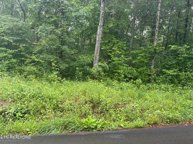 0 Brown Creek Dr, Crossville, TN 38571