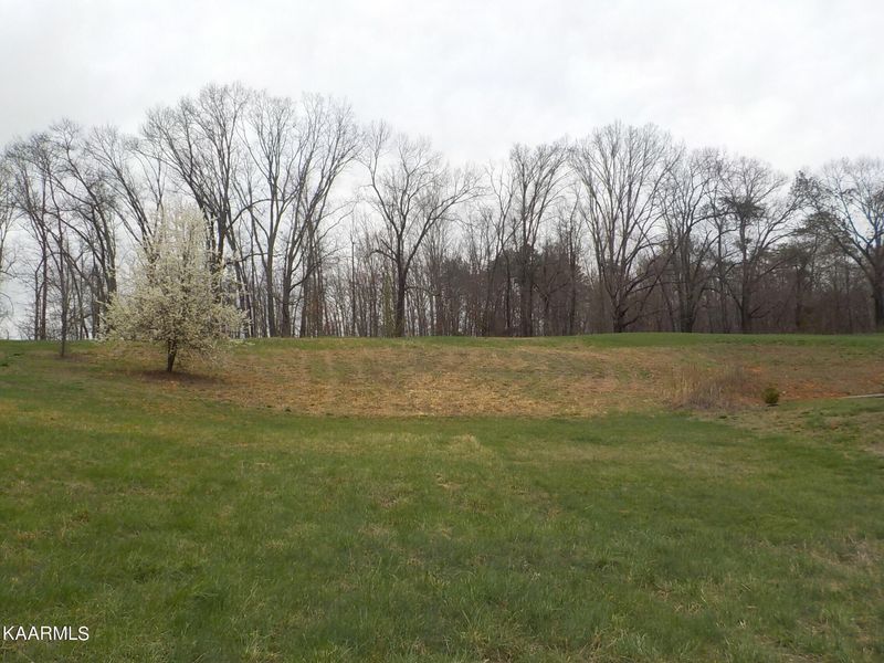 0 Brown Rd, Blaine, TN 37709