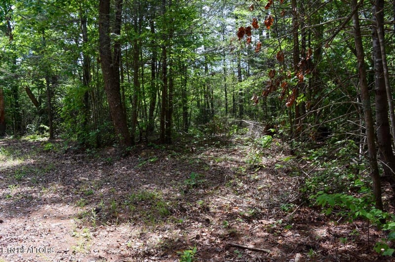 0 Bryant Hollow Lot 1 Way #066 032.00, Sevierville, TN 37876