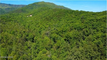 0 Bryant Hollow Lot 3 Way #066 032.00, Sevierville, TN 37876
