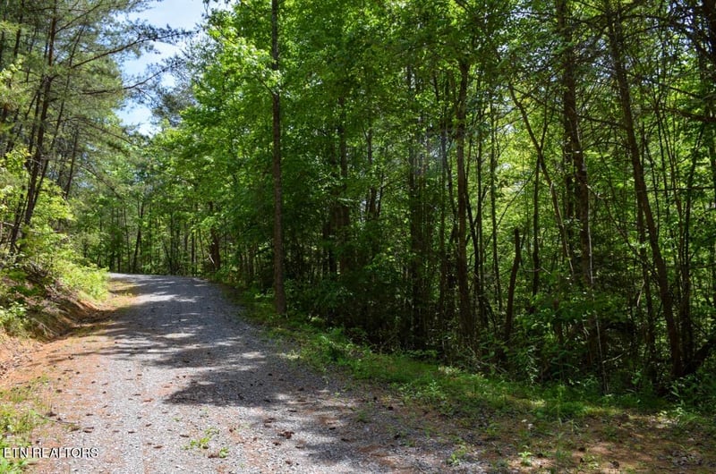 0 Bryant Hollow Lot 4 Way, Sevierville, TN 37876