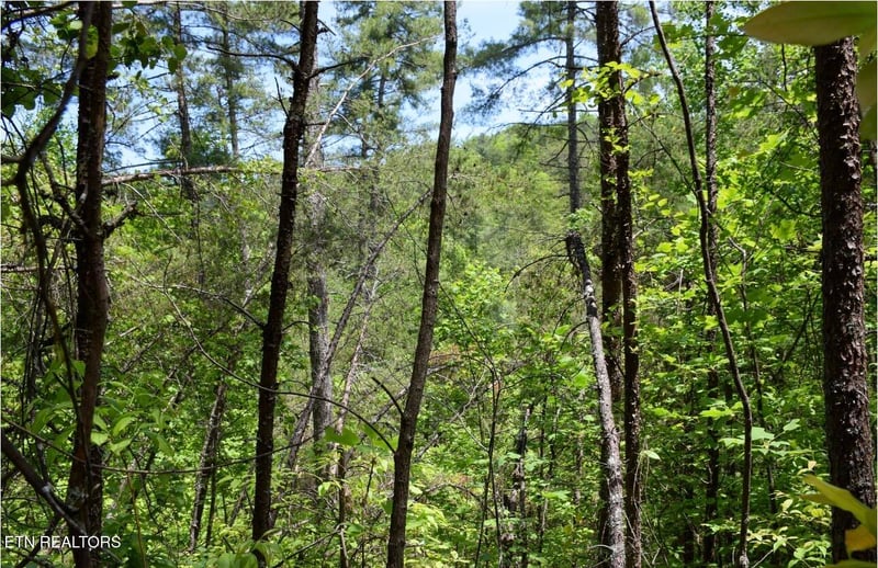 0 Bryant Hollow Lot 8 Way, Sevierville, TN 37876