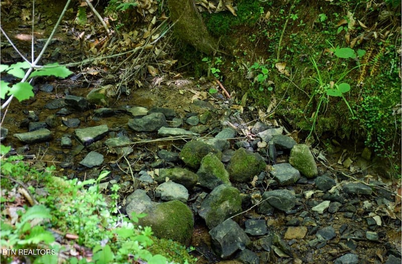 0 Bryant Hollow Lot 8 Way, Sevierville, TN 37876