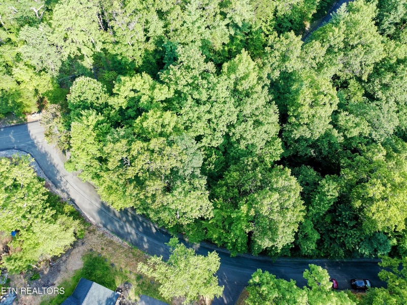 0 Buck Board Ln, Sevierville, TN 37862