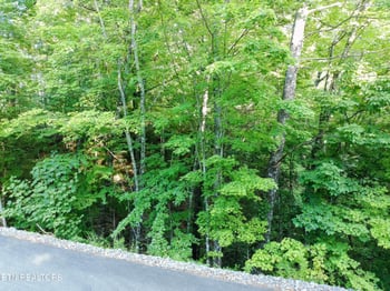 0 Buck Board Ln, Sevierville, TN 37862