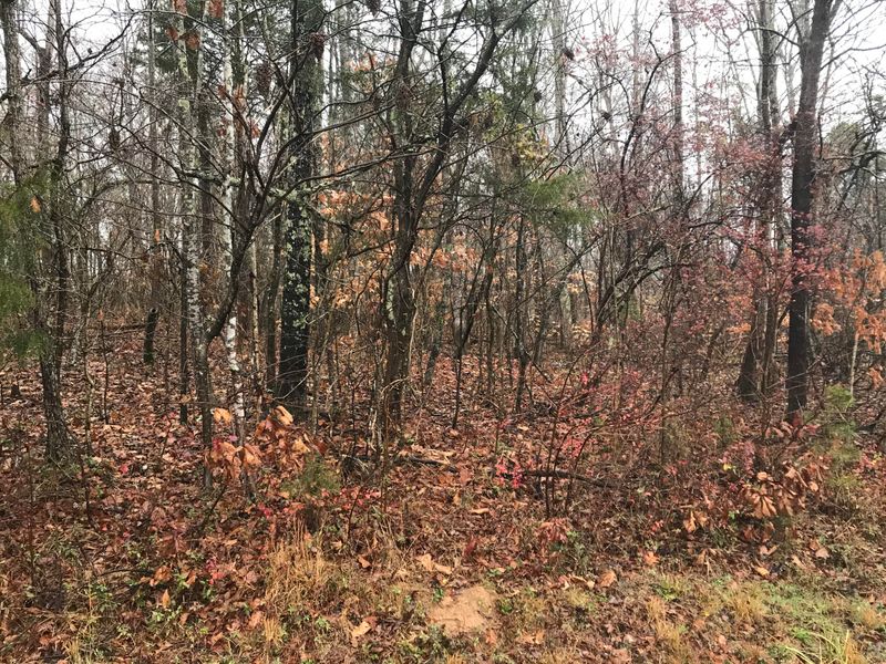 0 Buck Creek Rd, Kingston, TN 37763