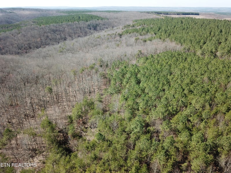 0 Buckridge Rd, Crossville, TN 38572