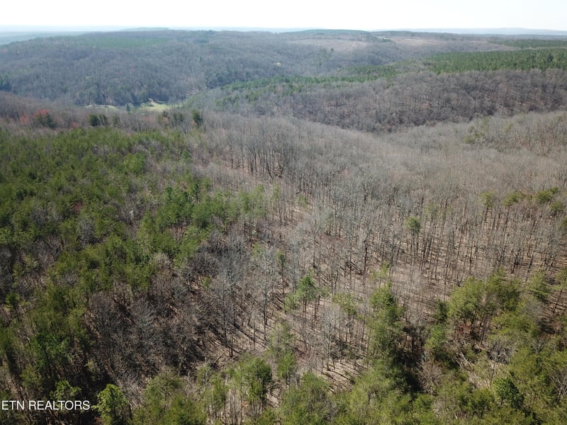 0 Buckridge Rd, Crossville, TN 38572
