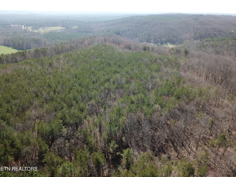 0 Buckridge Rd, Crossville, TN 38572