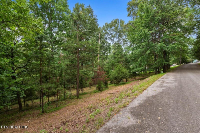 0 Bucks And Doe Ln, Lafollette, TN 37766