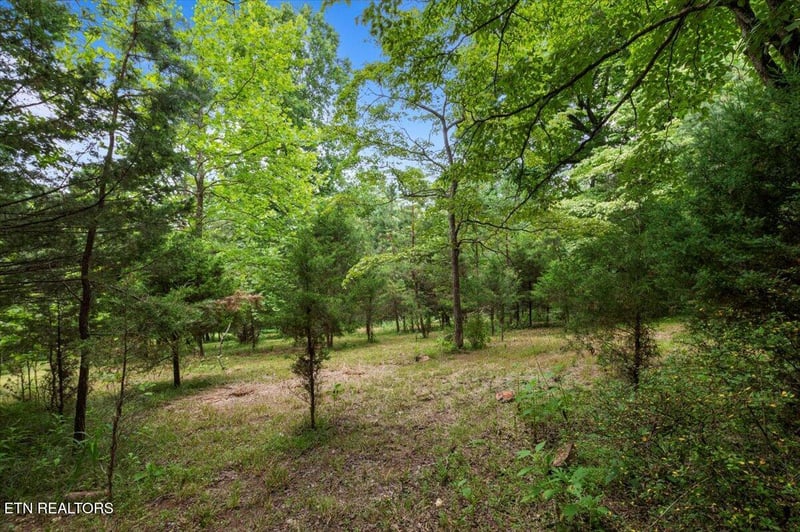 0 Bucks And Doe Ln, Lafollette, TN 37766