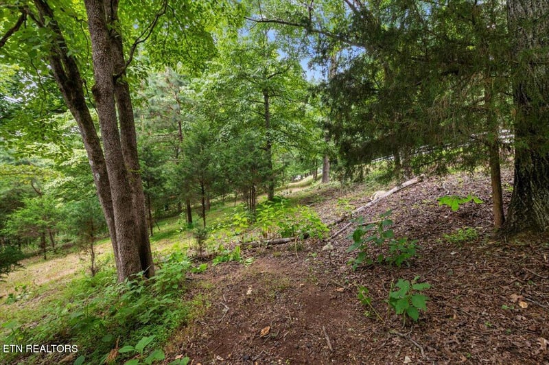 0 Bucks And Doe Ln, Lafollette, TN 37766