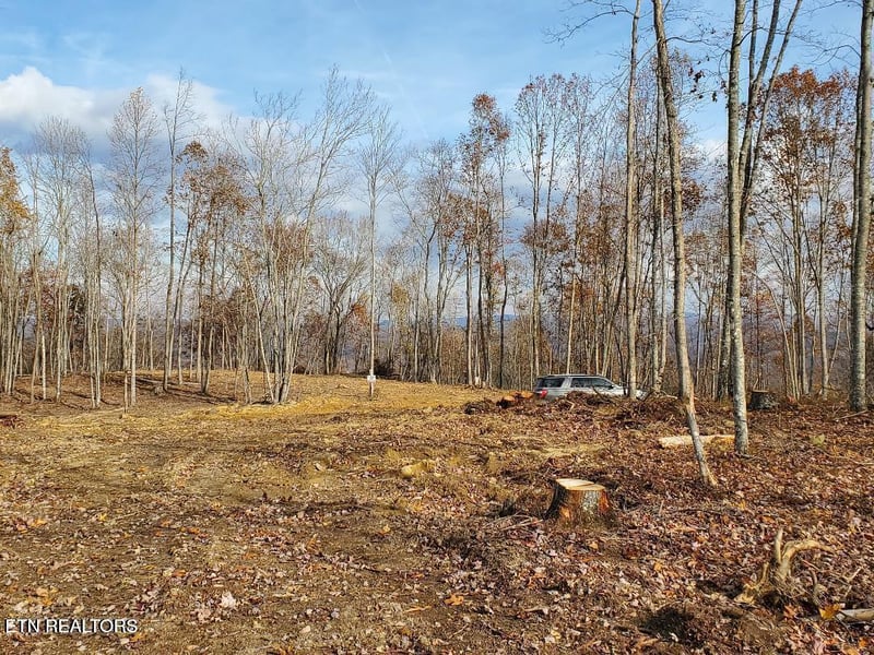 0 Bull Creek Rd S/0, Huntsville, TN 37756