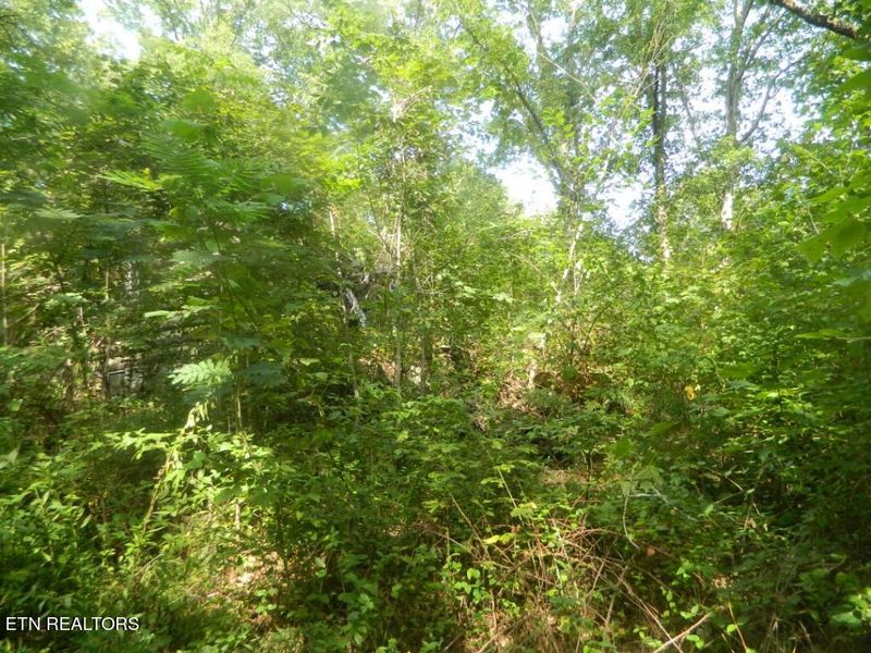 0 Bull Run 072 009 00 Rd, Luttrell, TN 37779