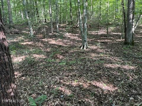 0 Bull Run Rd, Luttrell, TN 37779