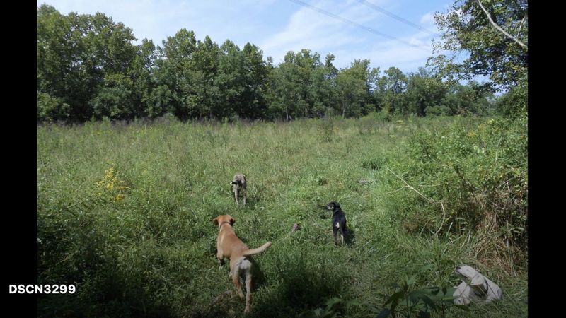 0 Bull Run Valley Rd, Powell, TN 37849