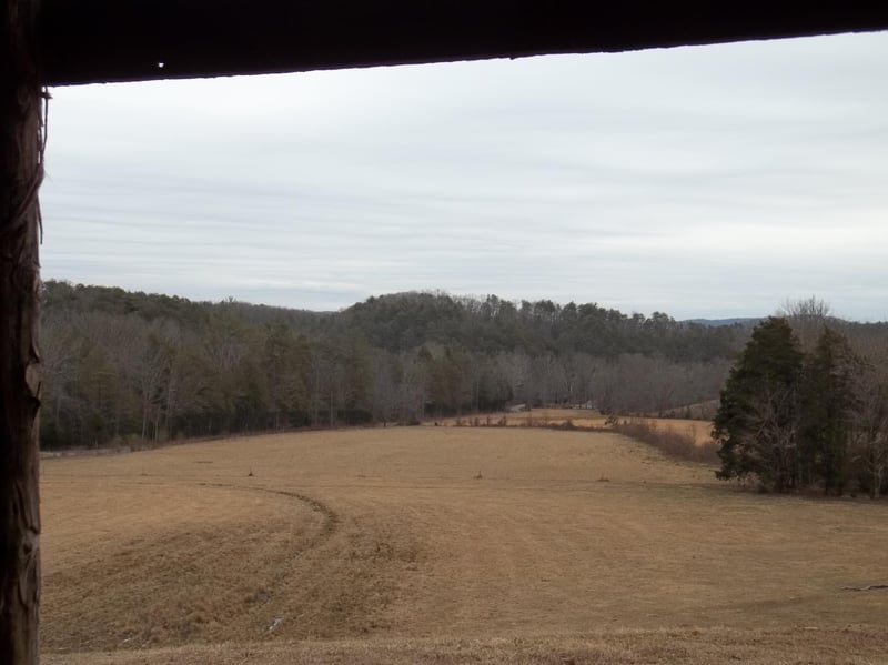0 Bullet Creek Rd #2139-L, Reliance, TN 37369