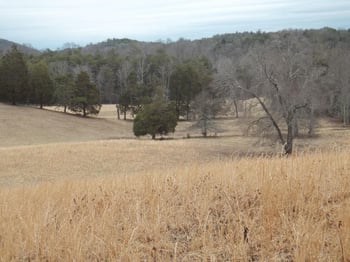 0 Bullet Creek Rd #2139-L, Reliance, TN 37369