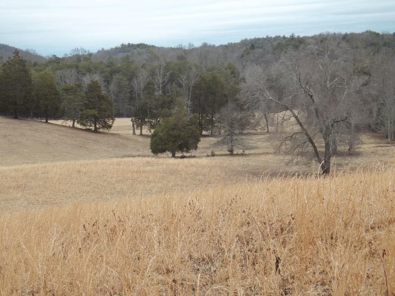 0 Bullet Creek Rd #2139-L, Reliance, TN 37369