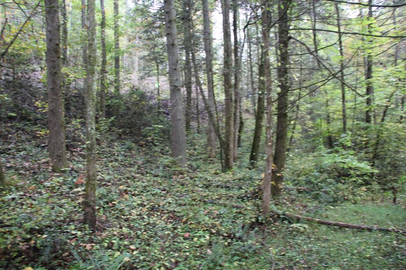 0 Bullet Creek Rd, Tellico Plains, TN 37385