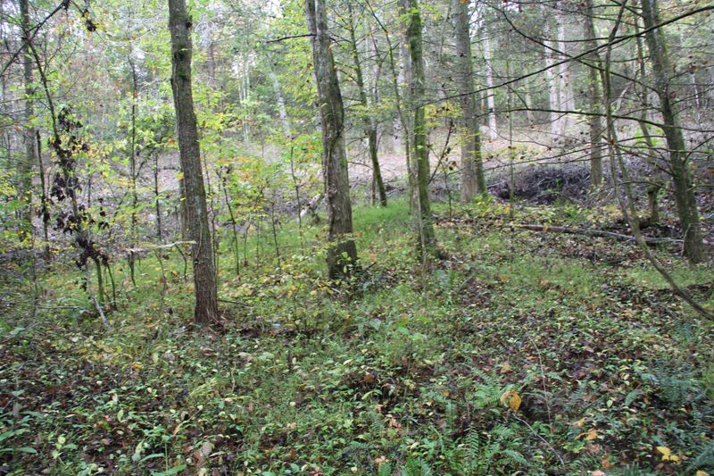 0 Bullet Creek Rd, Tellico Plains, TN 37385