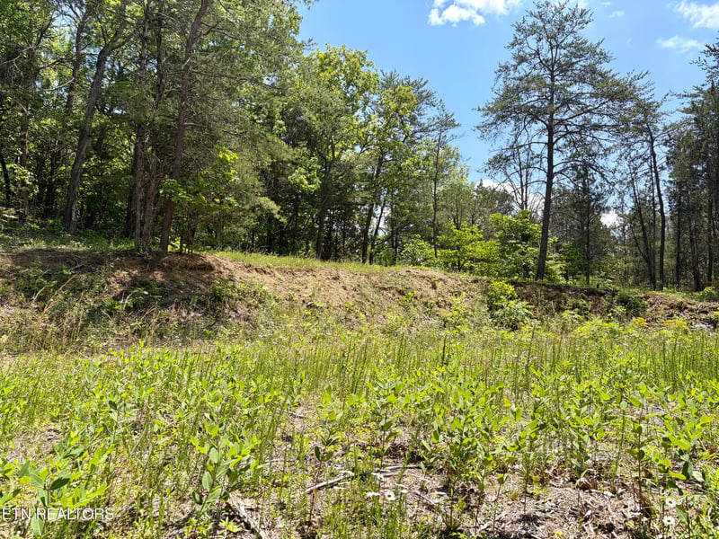 0 Burchfiel Way, Sevierville, TN 37876