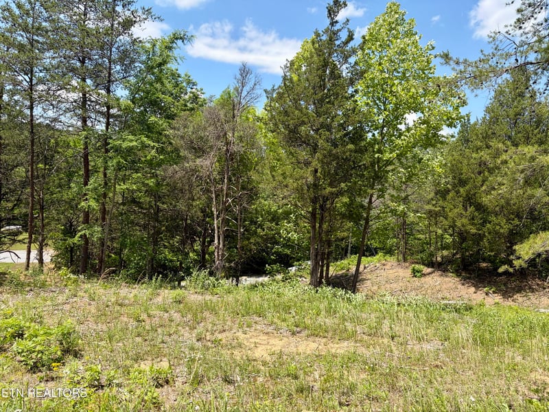 0 Burchfiel Way, Sevierville, TN 37876