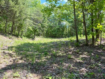 0 Burchfiel Way, Sevierville, TN 37876