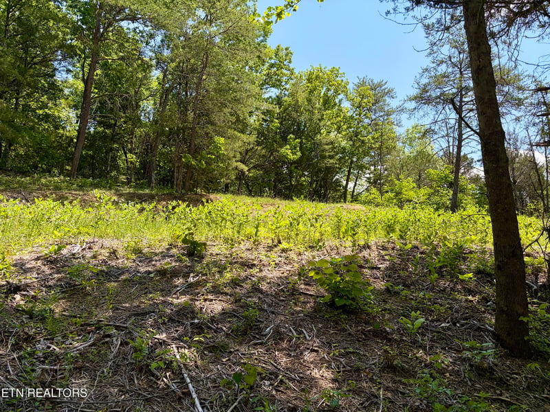 0 Burchfiel Way, Sevierville, TN 37876