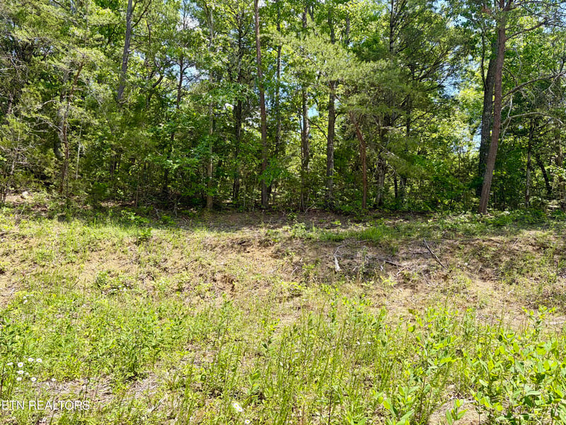 0 Burchfiel Way, Sevierville, TN 37876