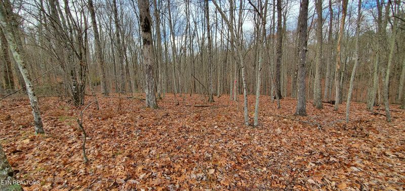 0 Burks Pl, Monterey, TN 38574