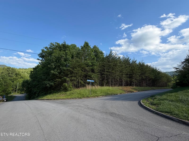 0 Burning Oaks Dr, Sevierville, TN 37876