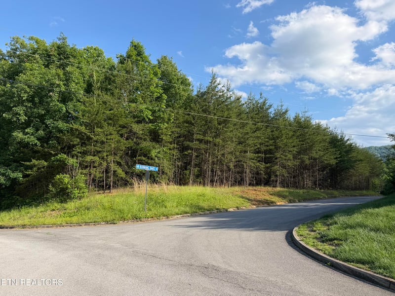 0 Burning Oaks Dr, Sevierville, TN 37876