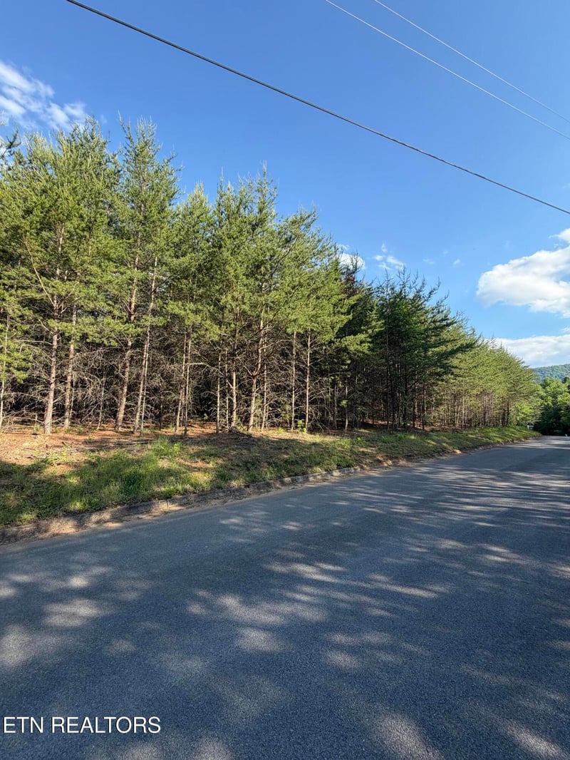 0 Burning Oaks Dr, Sevierville, TN 37876