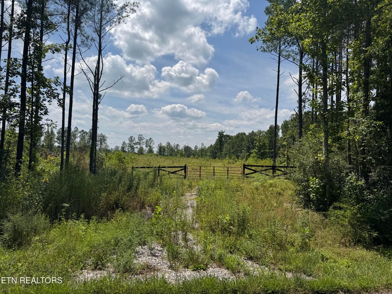 0 Burrville Rd, Sunbright, TN 37872